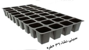 سینی نشا ۳۶ حفره