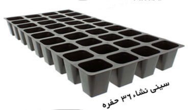 سینی نشا ۳۶ حفره