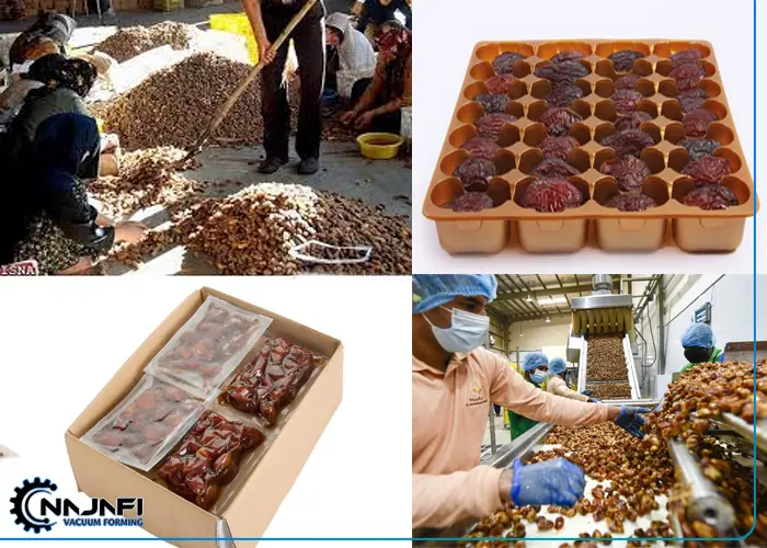بسته-بندی-سنتی-تا-مدرن