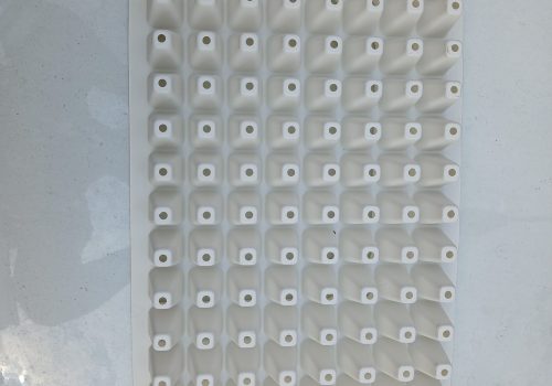 20241125_113841