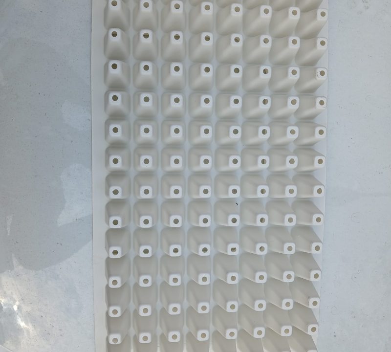 20241125_113841