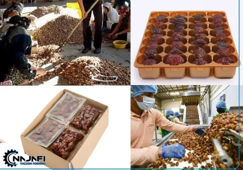 بسته-بندی-سنتی-تا-مدرن