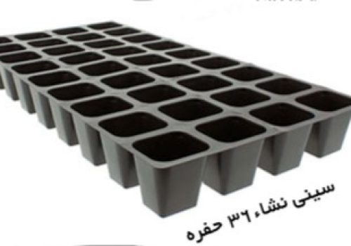 سینی نشا ۳۶ حفره