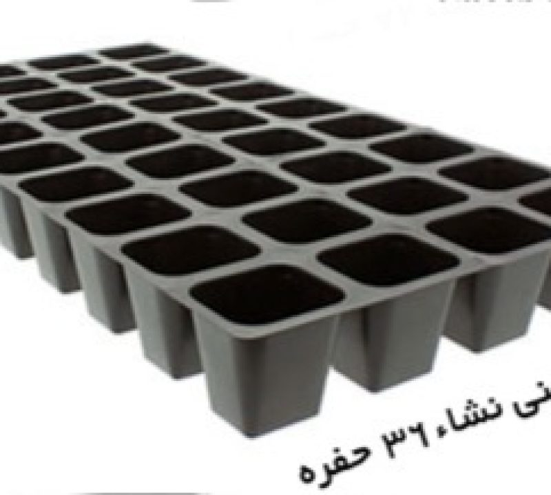 سینی نشا ۳۶ حفره